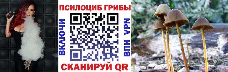 даркнет наркотические препараты  МЕГА ONION  Гусиноозёрск  Псилоцибиновые грибы Cubensis 